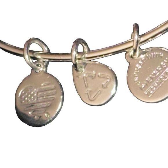 *NEW* Alex And Ani Shiny Silver Spiral Sun Charm Bangle Bracelet - Picture 6 of 9